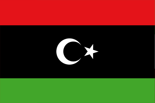 صدام عربي بين ليبيا والجزائر في تصفيات كأس الأمم 2013 Flag+Libya