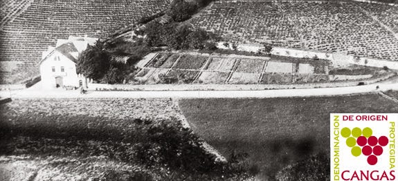 presentacion2 presentacion2