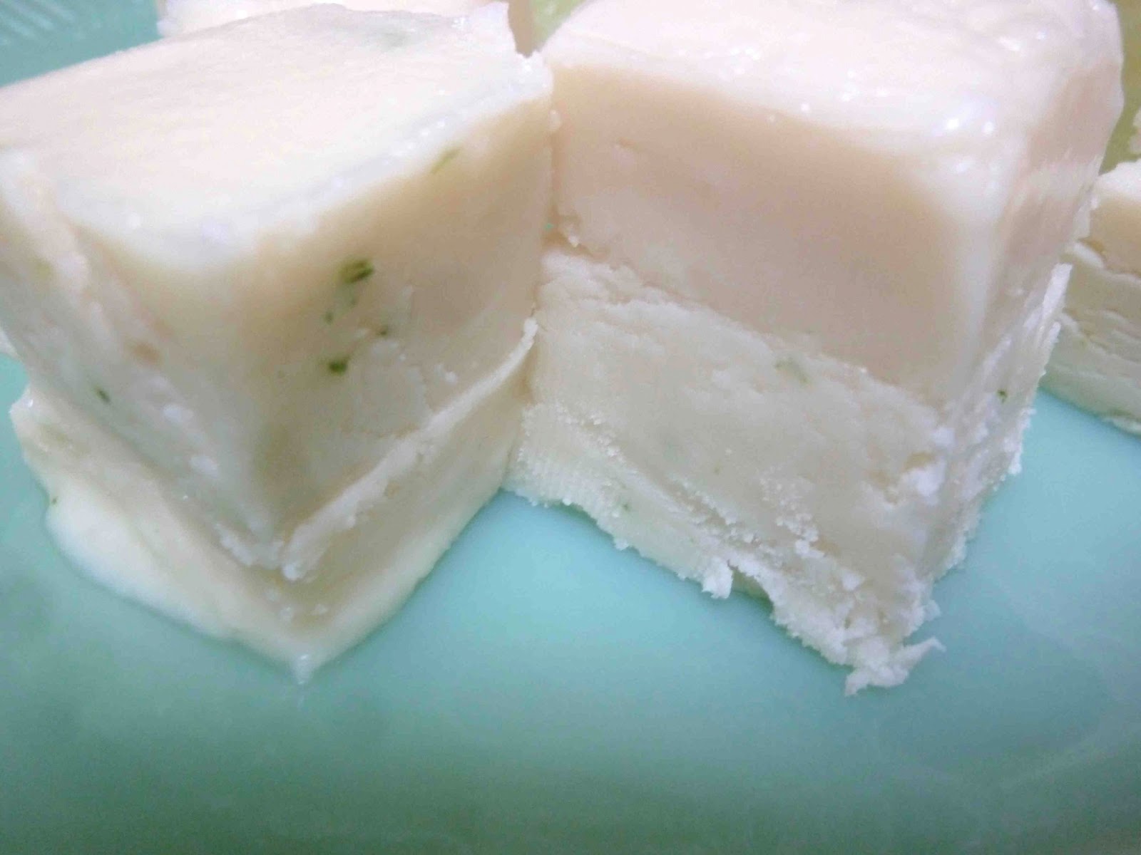 Gin & Tonic Fudge Diary of a Mad Hausfrau