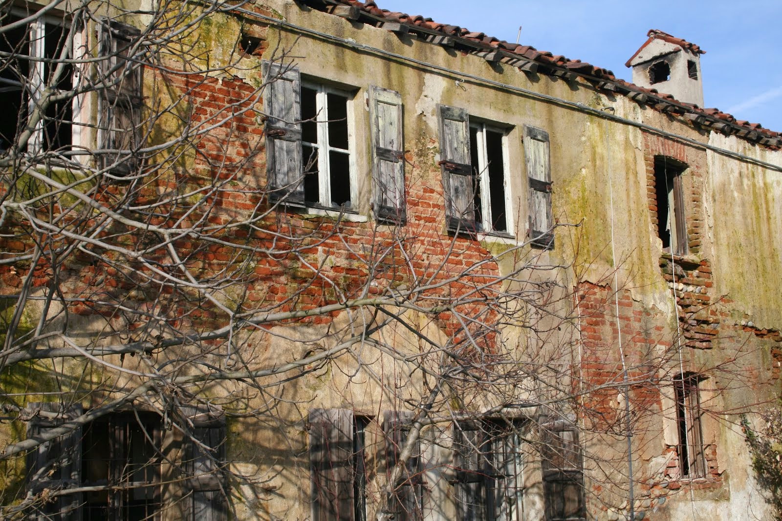 Dove Affondano le Nostre Radici