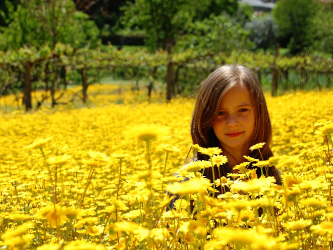 PRIMAVERA