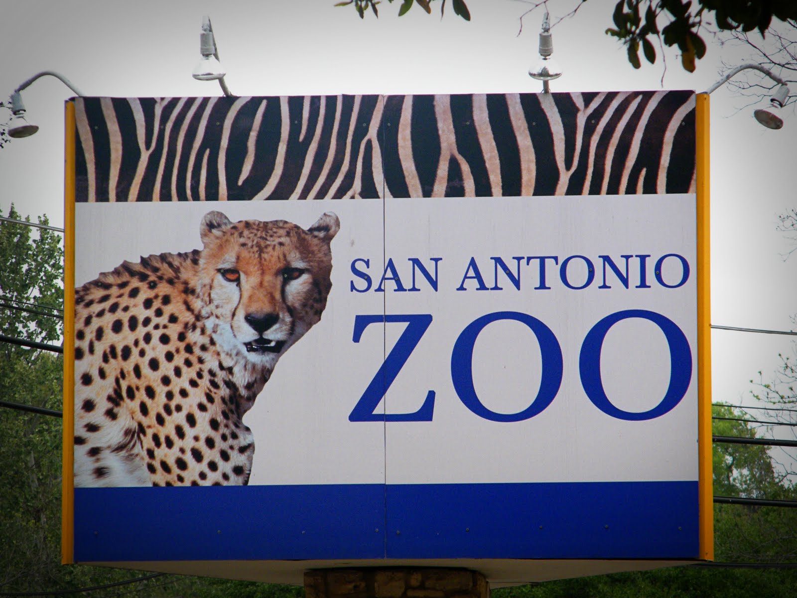The Crawford Diary: San Antonio Zoo