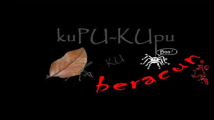 kupu-kupu ku beracun