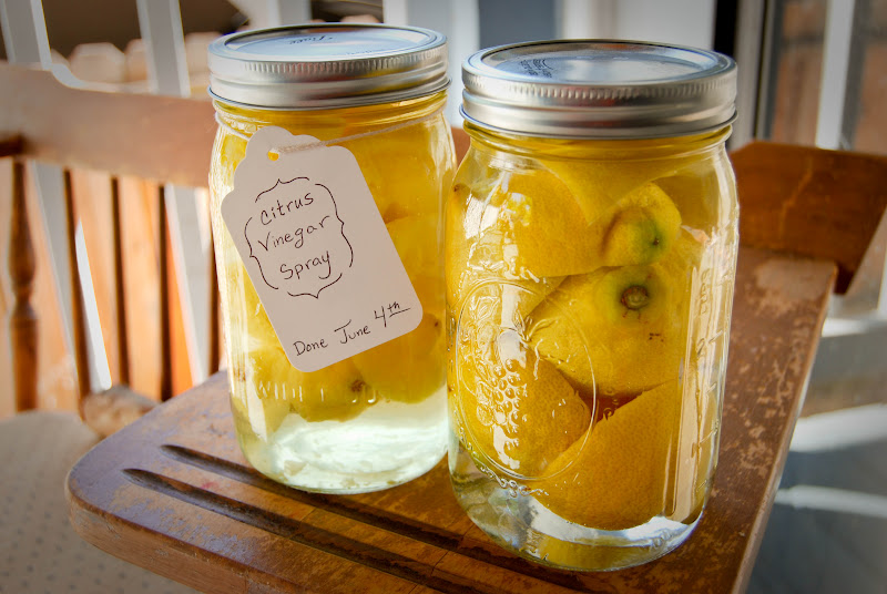 Peas n Carrots Citrus Vinegar All Purpose Cleaner