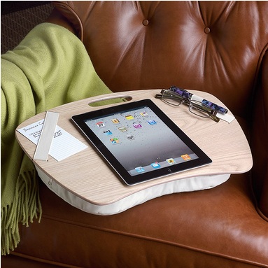 Bonggamom Finds Levenger Product Review Ipad Laplander