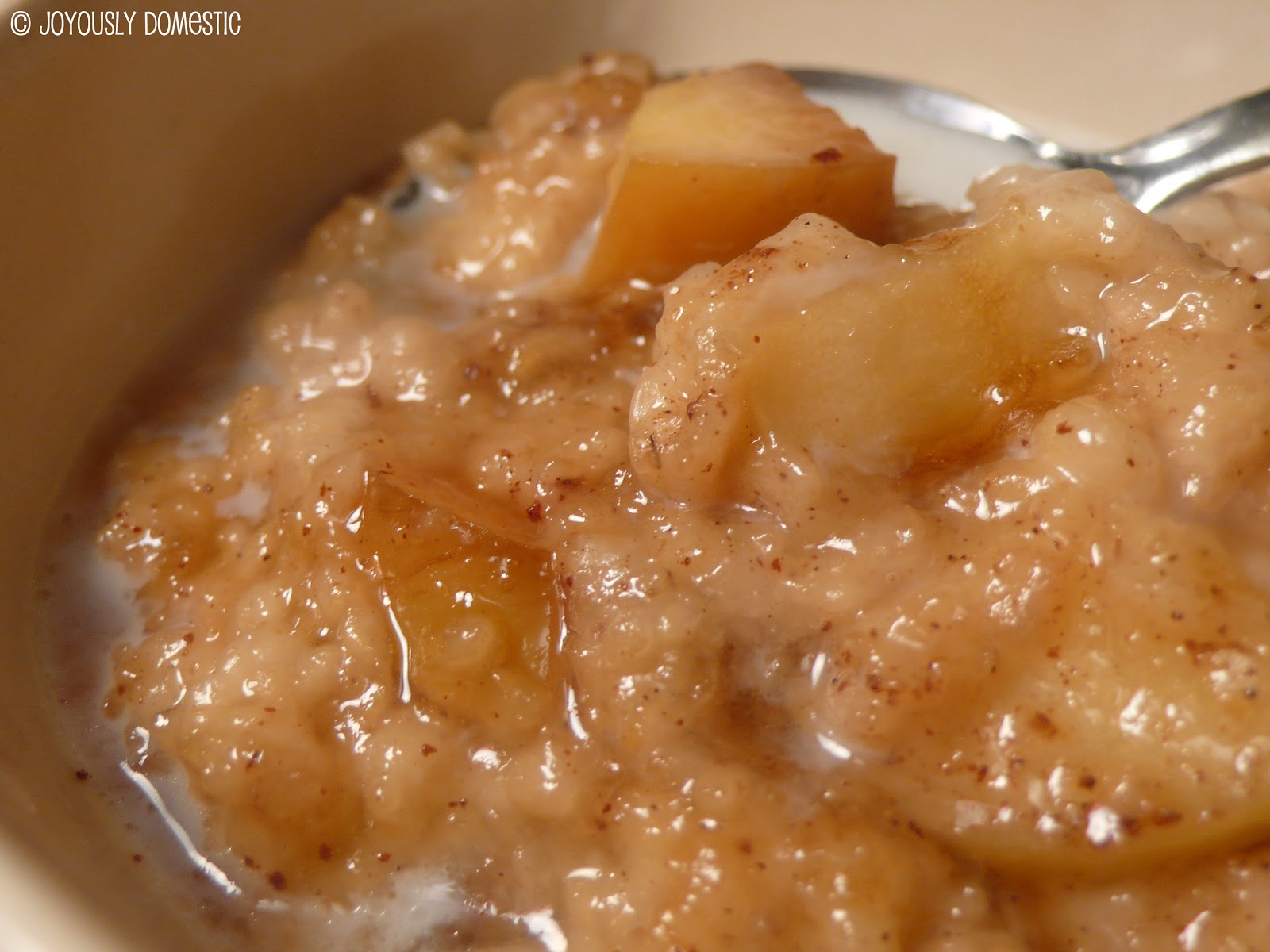 Joyously Domestic Slow Cooker Overnight Oatmeal (Water Bath Technique)
