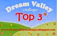 Dream Valley Challenge Top 3