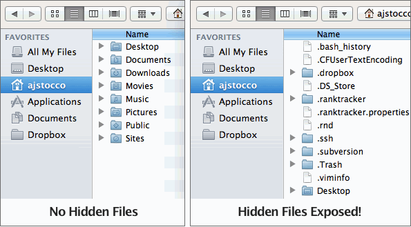 Delete Hidden Files Unix Command