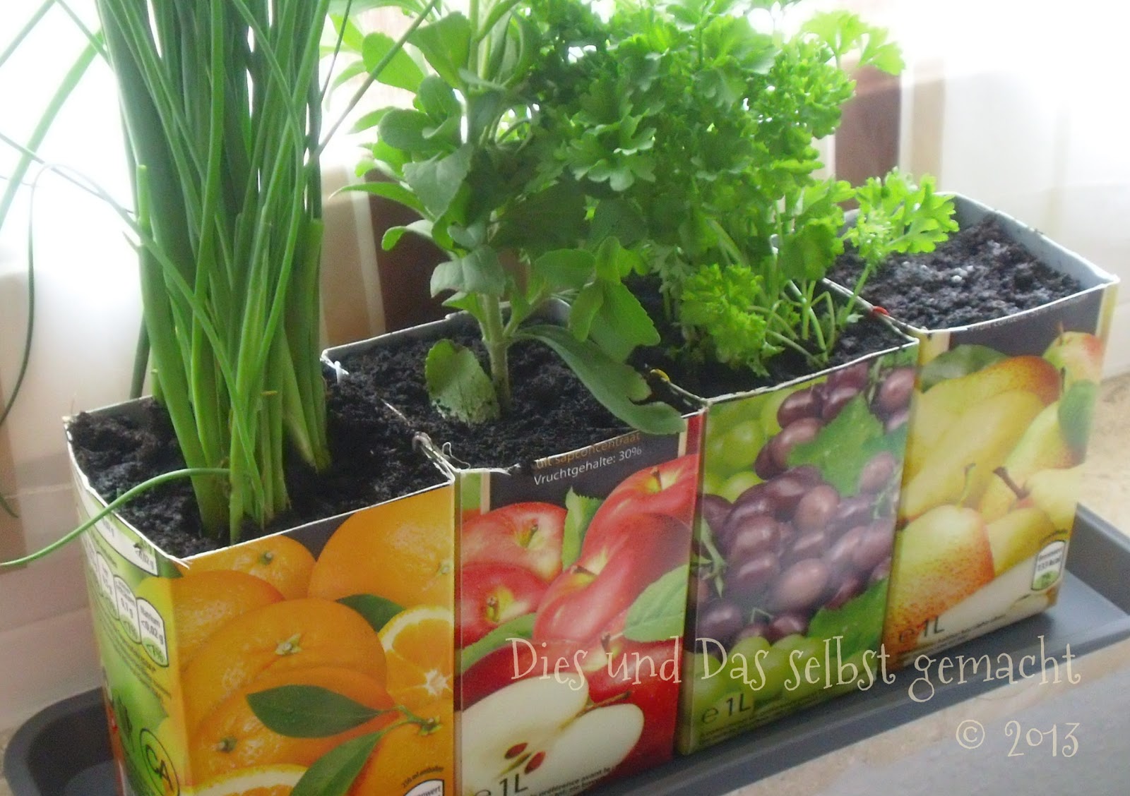 Dies und Das selbst gemacht: Ein Kräutergarten für das Küchenfenster