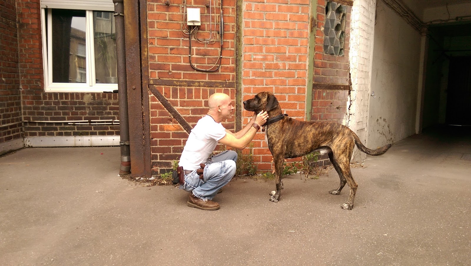 Pachadiels Blog Tierschutz 02 01 2014 03 01 2014