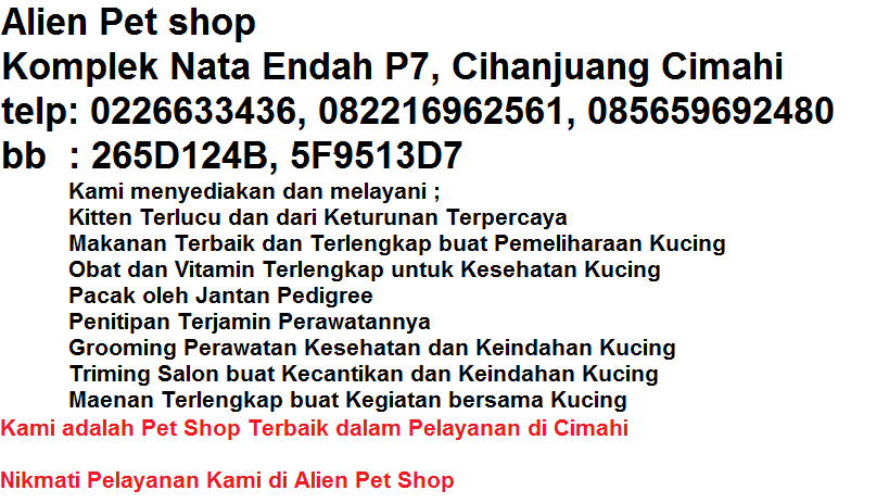 Alien Pet Shop Cimahi