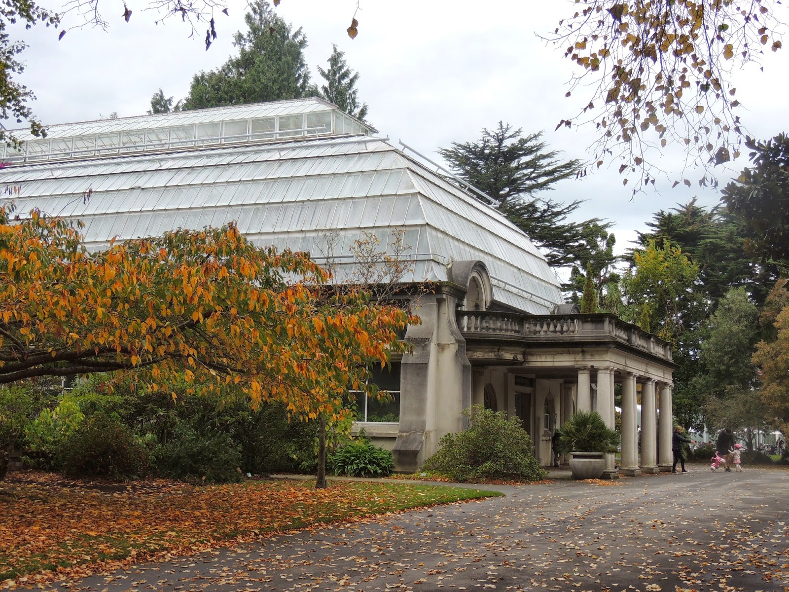 THE ROAD TAKEN Hagley Park + Christchurch Botanic Gardens