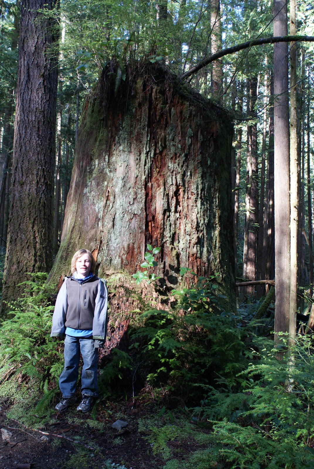 Hydration packs for skiing, cute backpacks purses, hiking gear kelowna xtreme