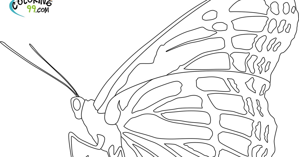 Butterfly Coloring Pages Team Colors