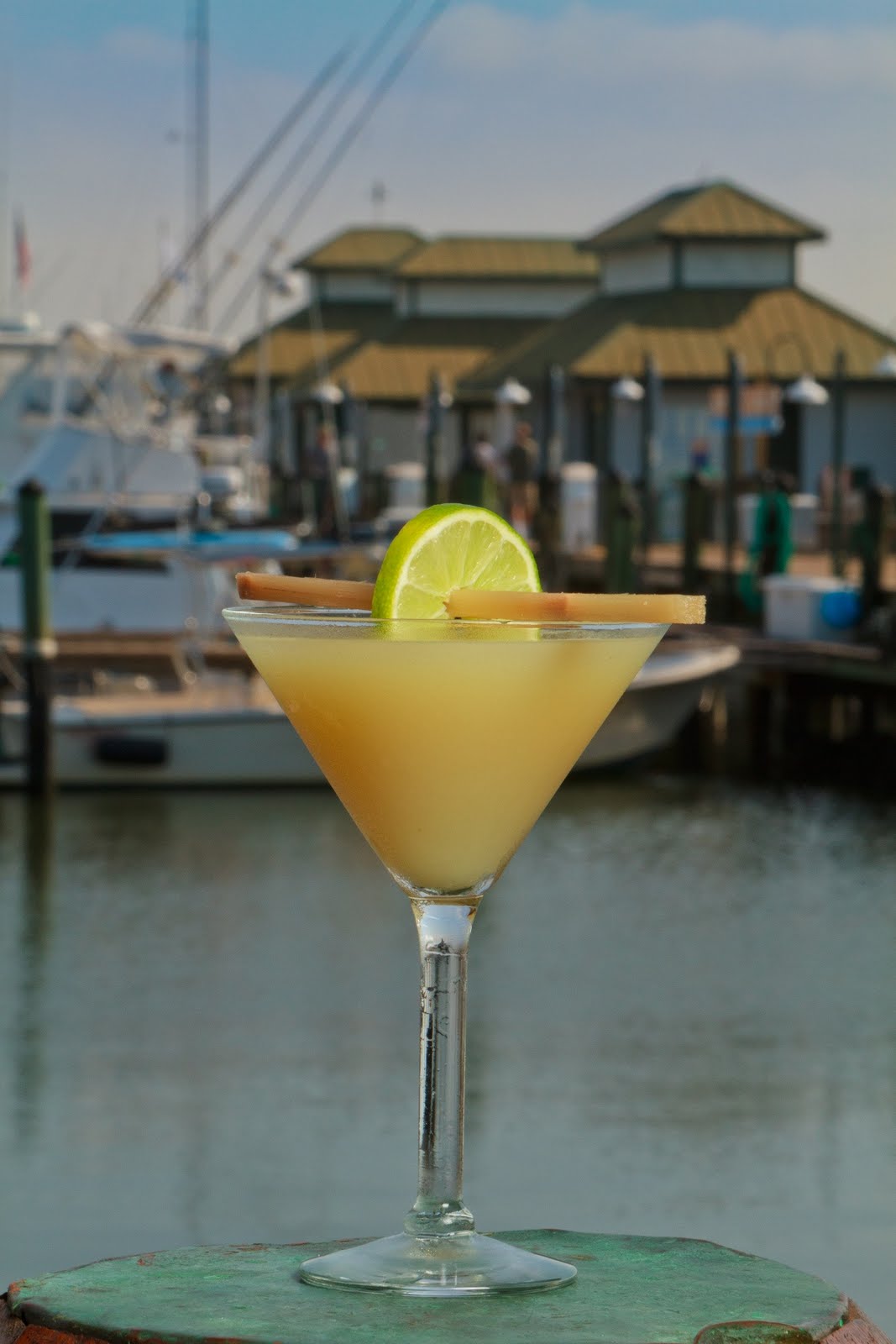 The Family Vacationist Daiquiri on the House in Classic Naples, Florida