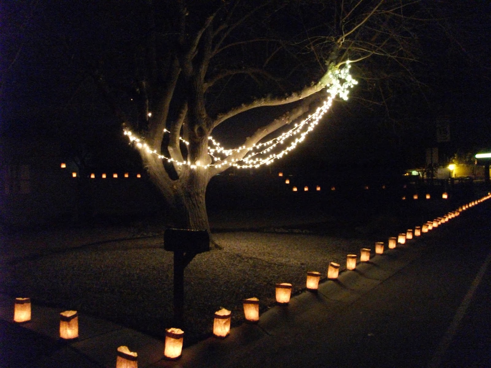 Personality Is Preferred Martha Stewart Shooting Star Fun Diy