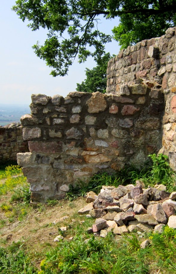 Schauenburg Dossenheim Arbeitseinsatz Am 26 April