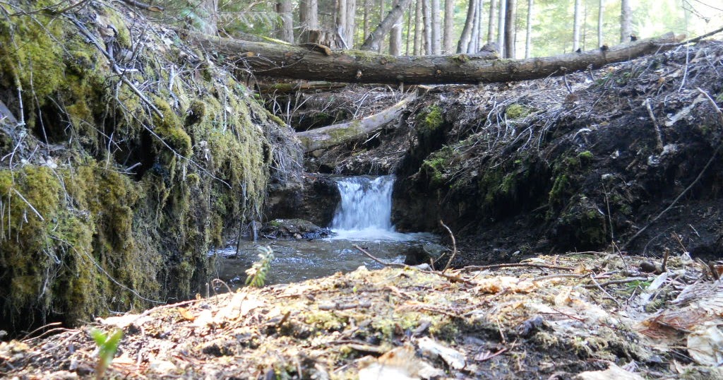 Home with three creeks for sale! Photo's of house and land