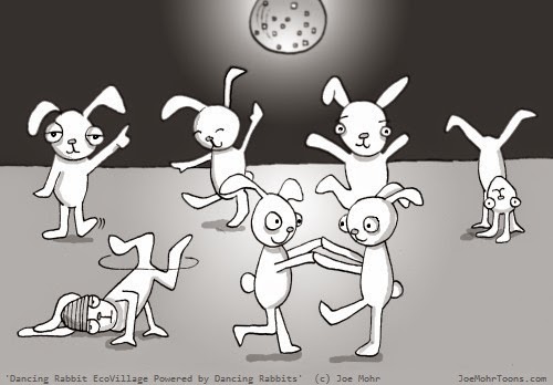 bilgi arsivi amerikan tavsani american rabbit