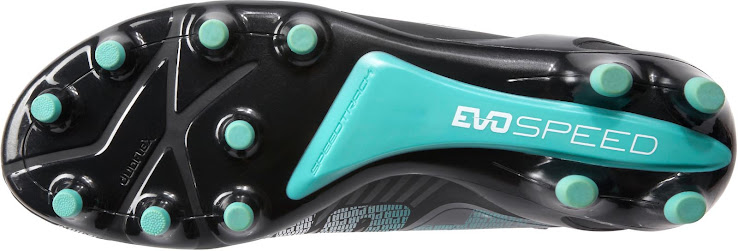 puma evospeed turbulence