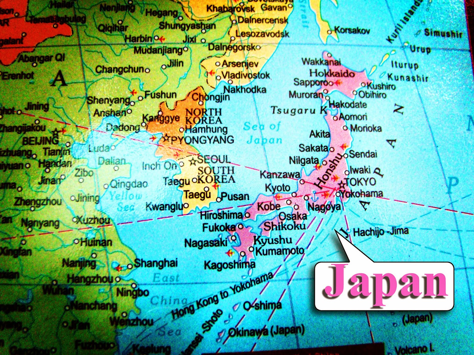 your best choice japan custom packages