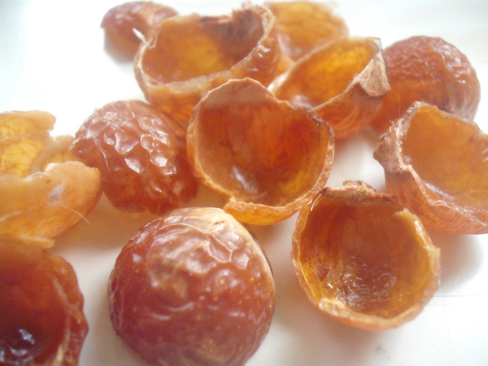 The Earth of India All About Soapberry (Sapindus)