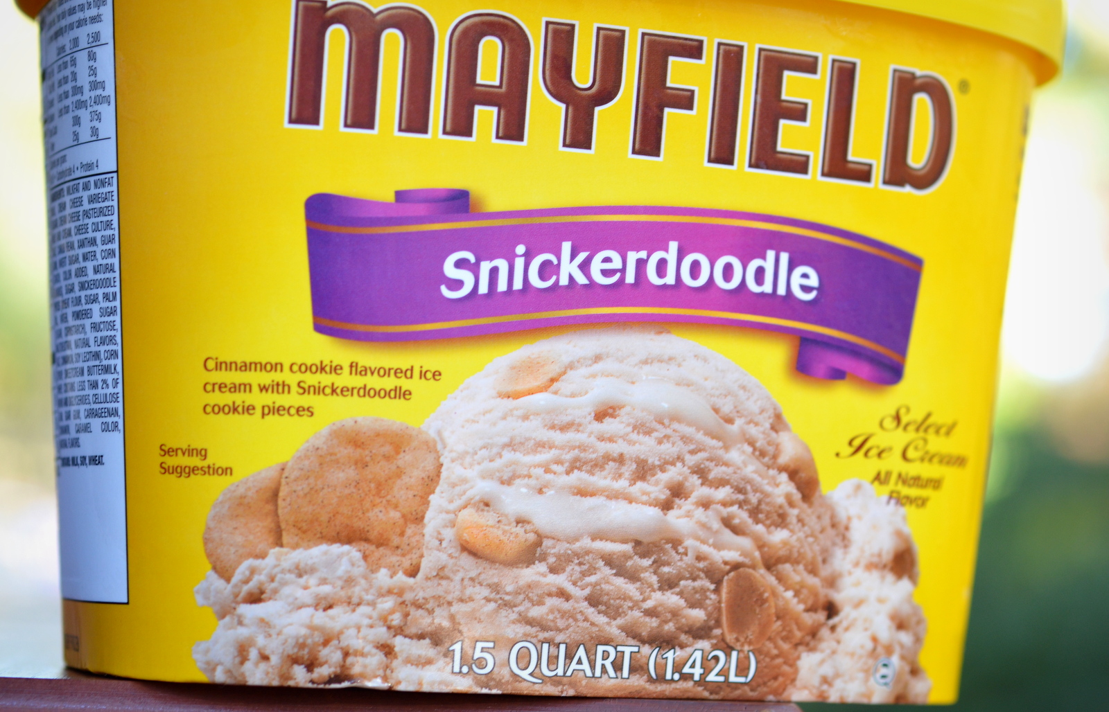 food and ice cream recipes REVIEW Mayfield Snickerdoodle