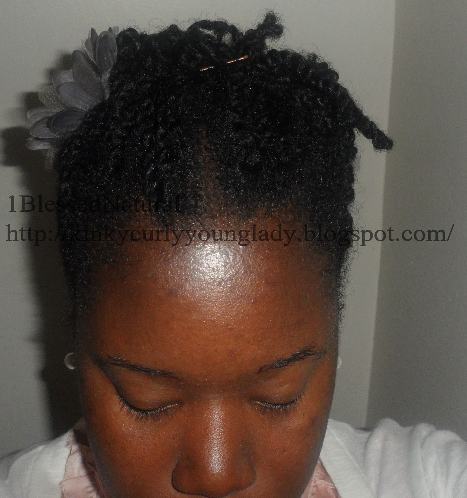 Mini Twist Updo Frustration