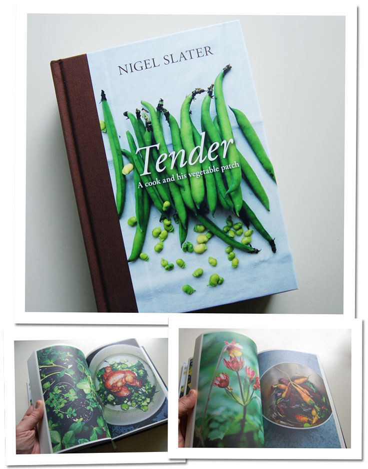 Tender: A cook and his vegetable patch. by Nigel Slater