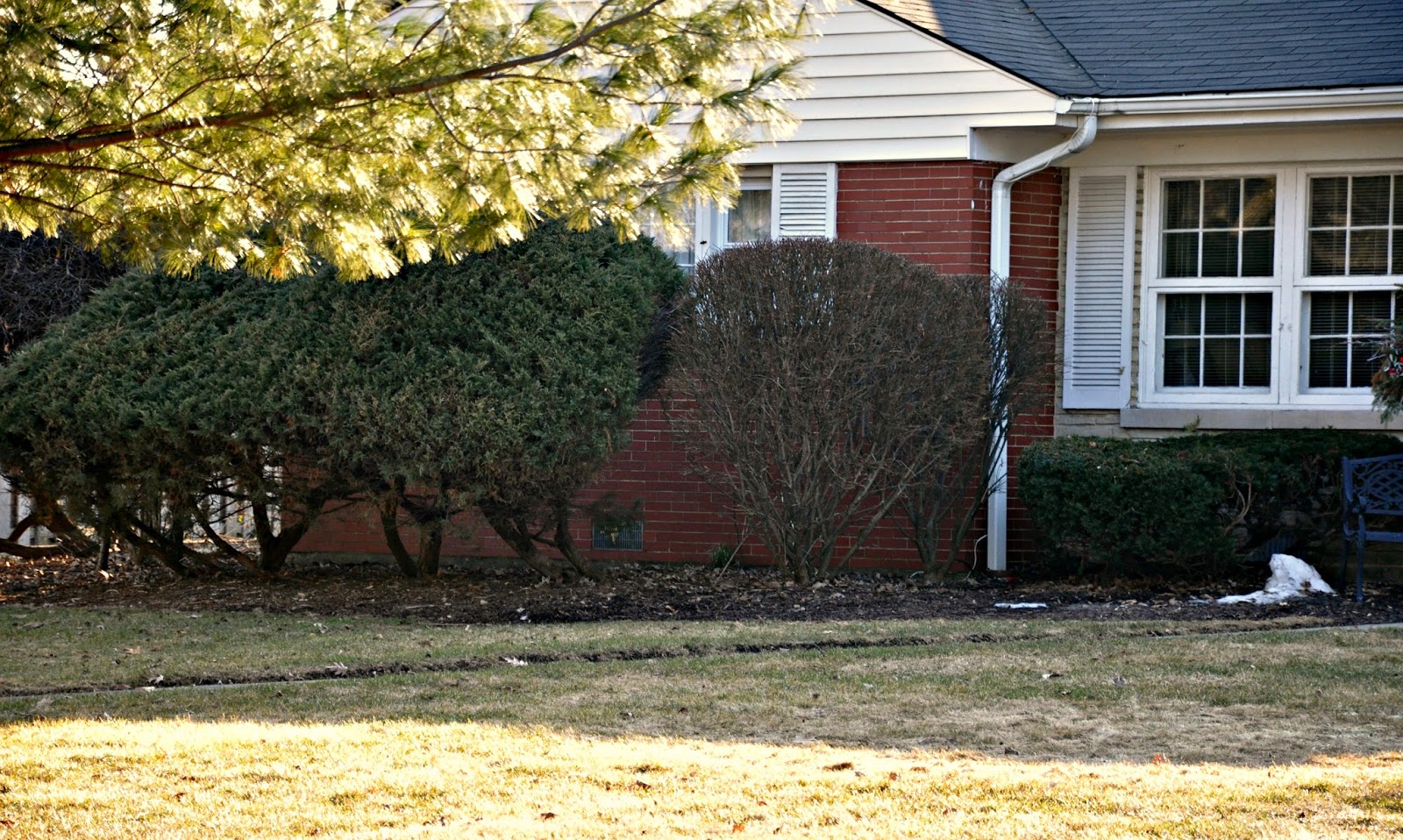 Autumnal Mistake The Burning Bush