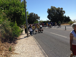 Australian Shepherd dog trekking in Oeiras
