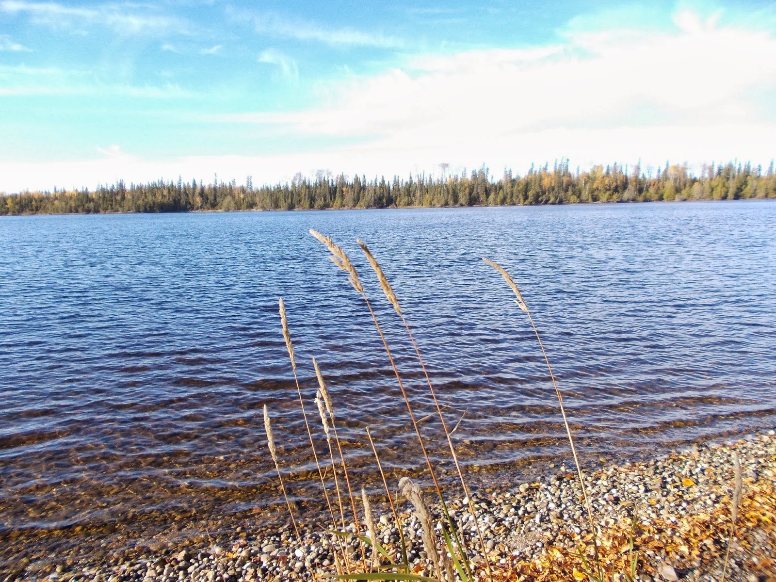 DELTAMIKE1 KLOTZ LAKE Nr Longlac Ontario
