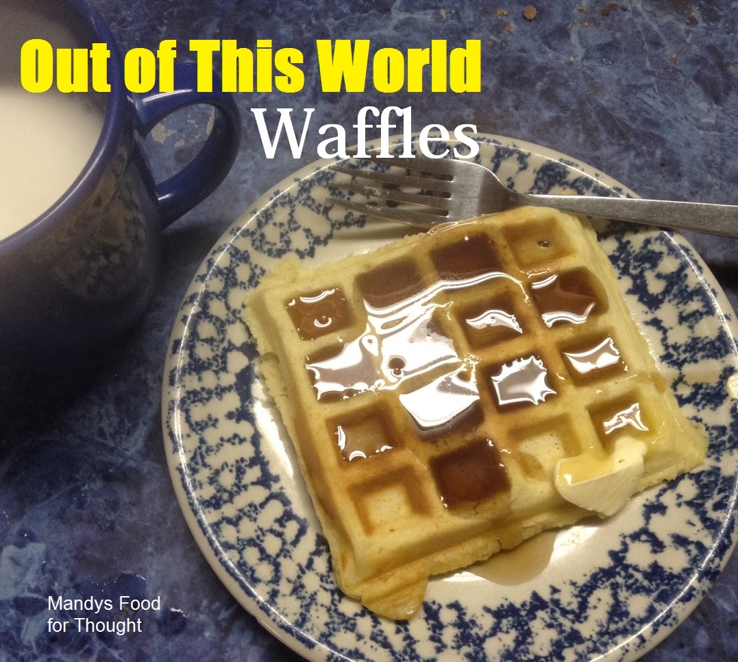 Mandy's Food for Thought Out of This World Waffles .14 a serving