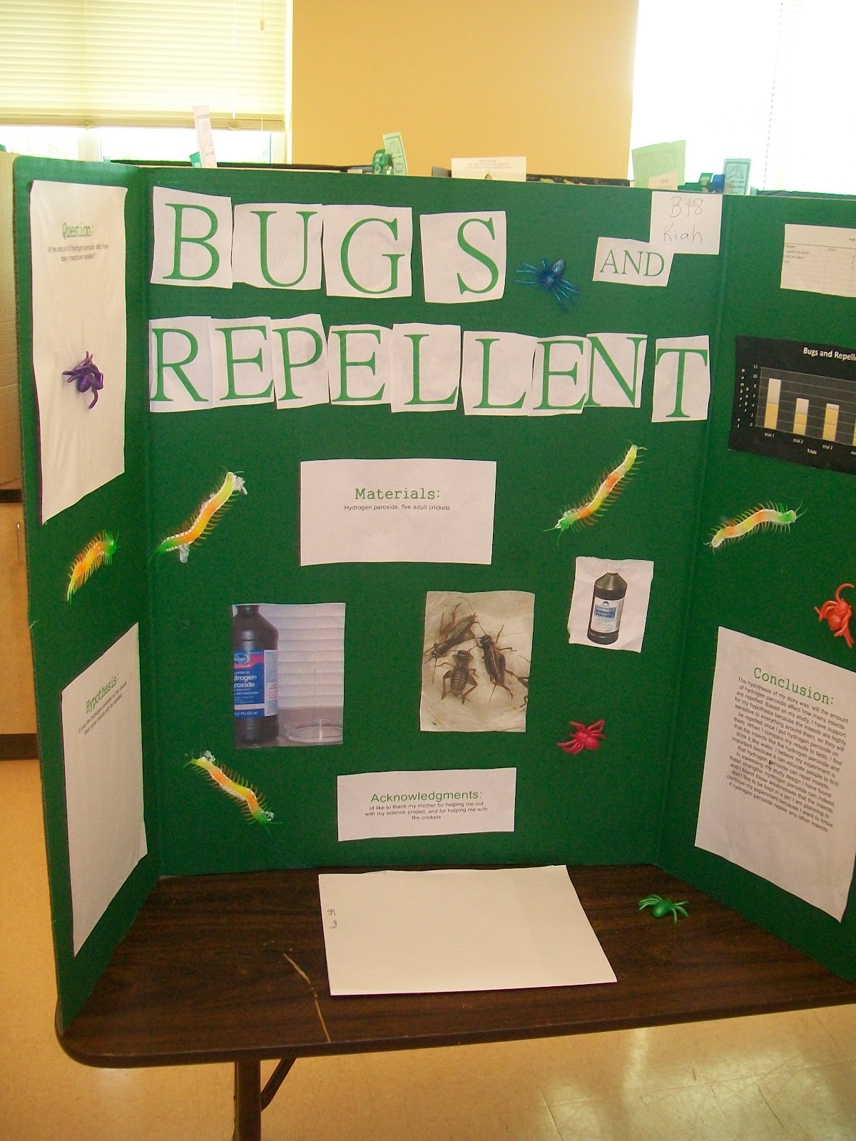 Project Fair - Science Fair, ABCs of the US, Biographies, Book Covers