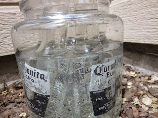 glass jar to hold the muriatic acid 