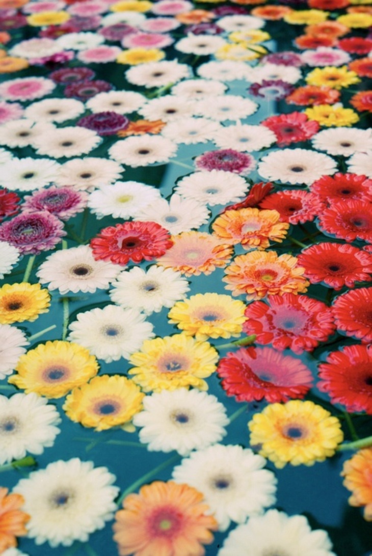 INSPO I WANT FLOWERS