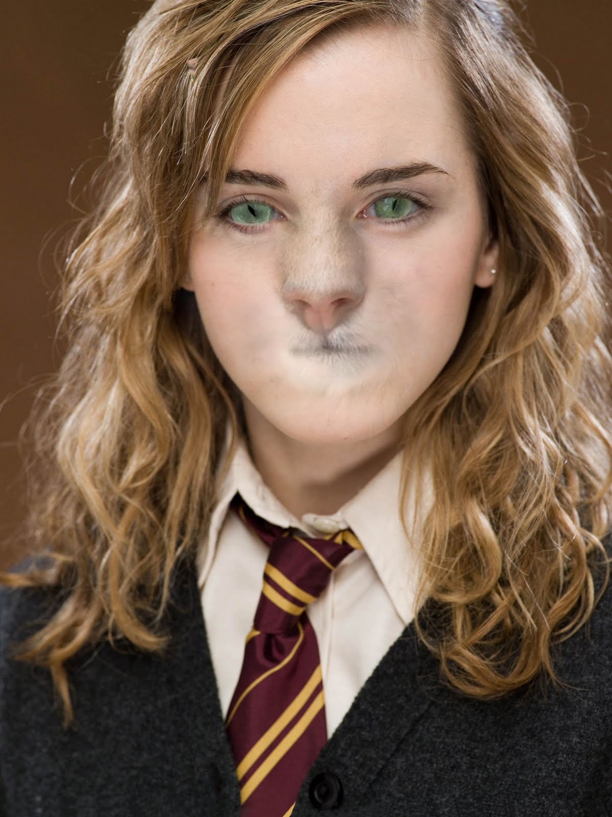 hermione cat transformation