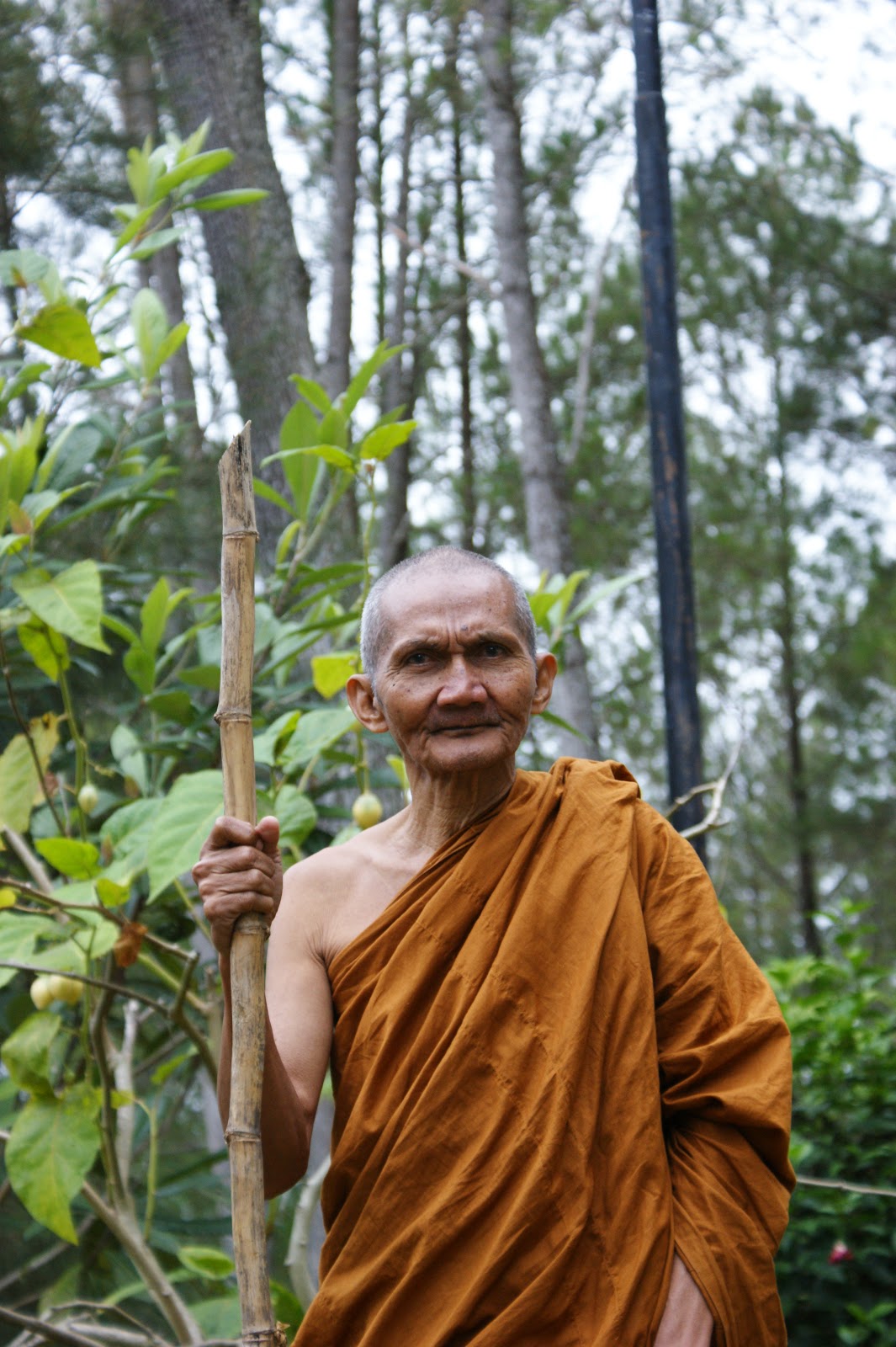 Riwayat hidup Bhikkhu Jinadhammo Mahathera. 