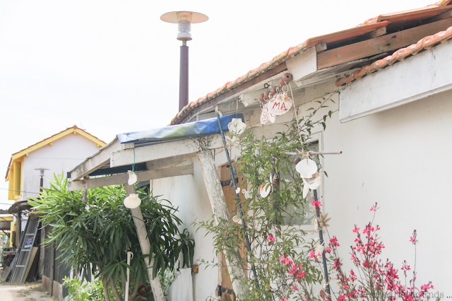 le cap-ferret,l'herbe,village ostréicole,roadtrip,beach shack,cabanons,cabanes en bois,bassin d'arcachon