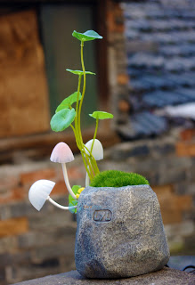 [Image: T2IQJuXiRaXXXXXXXX_!!401169674.jpg]