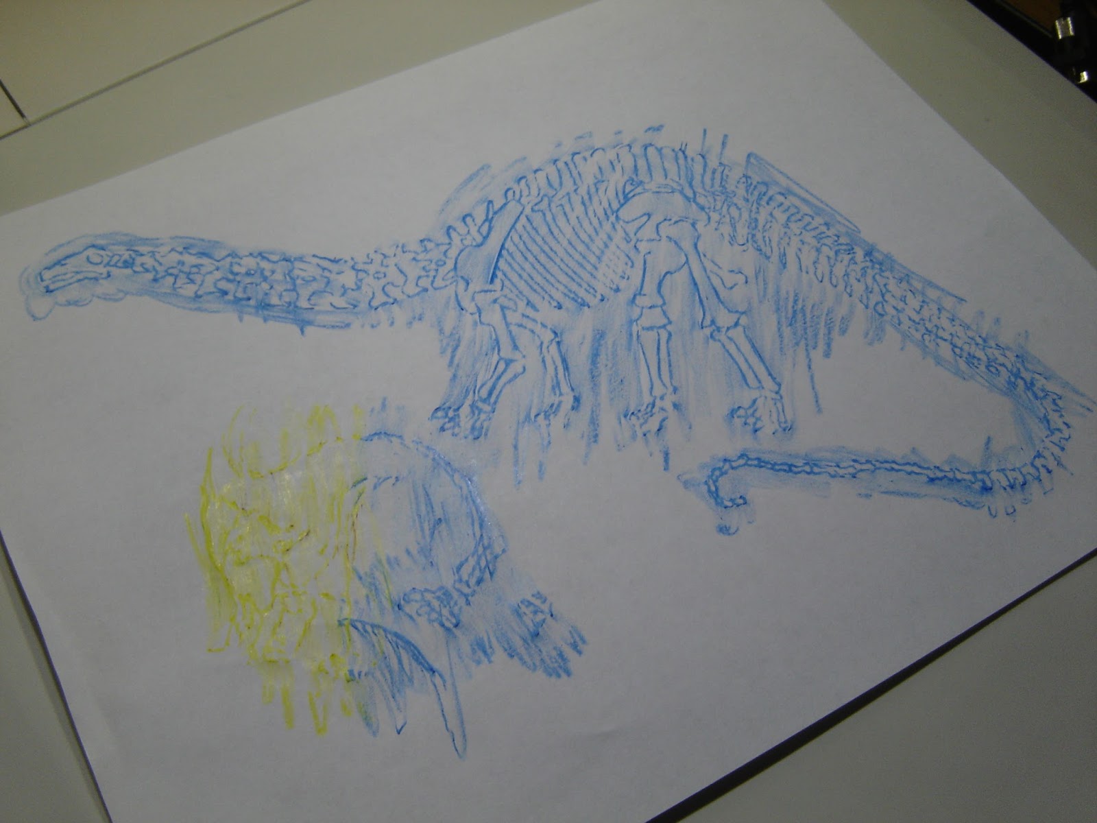 Paleontology Rocks! Camp Explorations