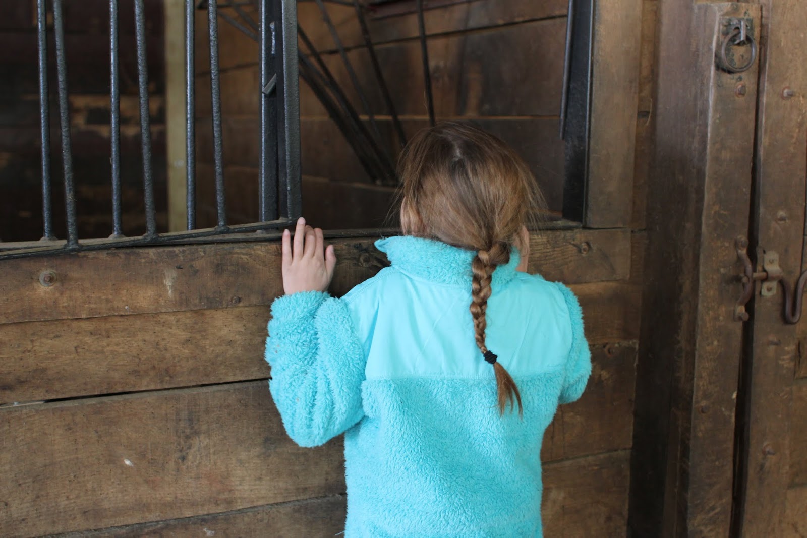 26 east ride with us wild rose equine center