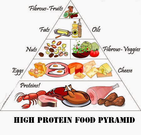 Diet Protein Energy