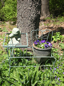 Frog Planter