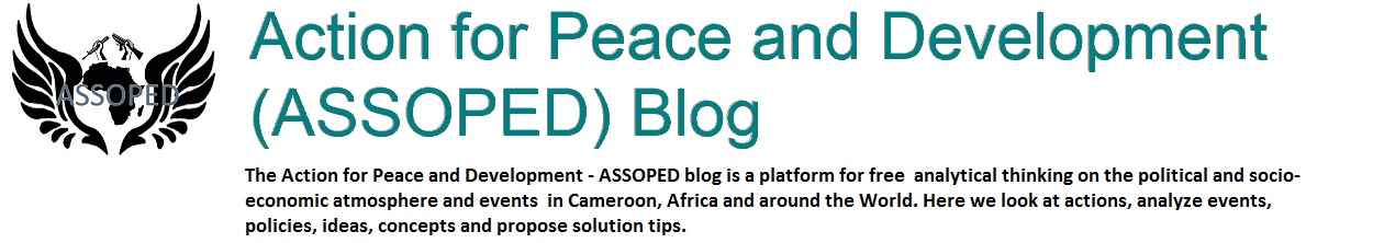 Action for Peace and Development (ASSOPED) Blog