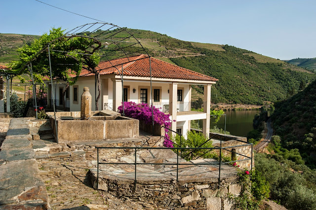 Divulgação: Enólogo do famoso Pétrus é o novo consultor da Quinta da Boavista - reservarecomendada.blogspot.pt Divulgação: Enólogo do famoso Pétrus é o novo consultor da Quinta da Boavista - reservarecomendada.blogspot.pt