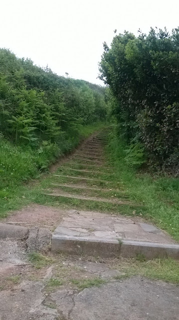 Escaleras hasta el cielo