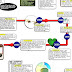 Timeline Of Computer Viruses And Worms - Recent Computer Virus