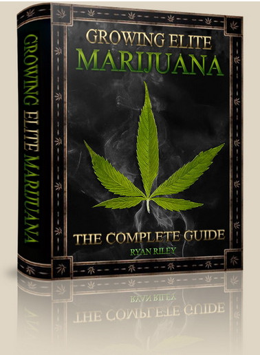 Marihuana Horticultura Del Cannabis Jorge Cervantes Pdf