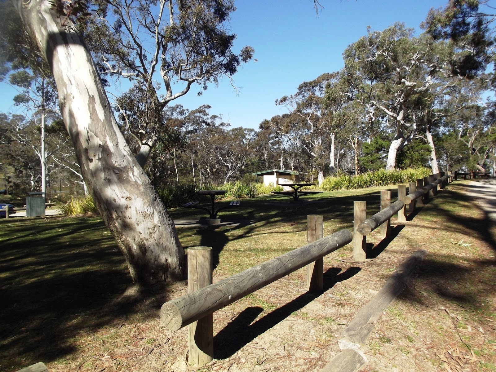 John's Blue Mountains Blog THE KATOOMBA FALLS RESERVE, BLUE MOUNTAINS